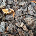 Best Mulch Delivery Morris County for Homes and Businesses