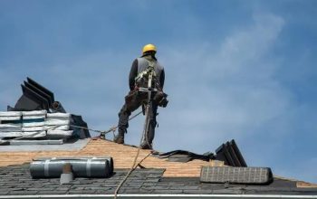 Professional Roofing Contractor for Roof Inspection and Repair