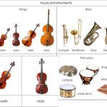 Why musicians are choosing the harp guitar today