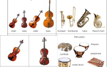 Why musicians are choosing the harp guitar today