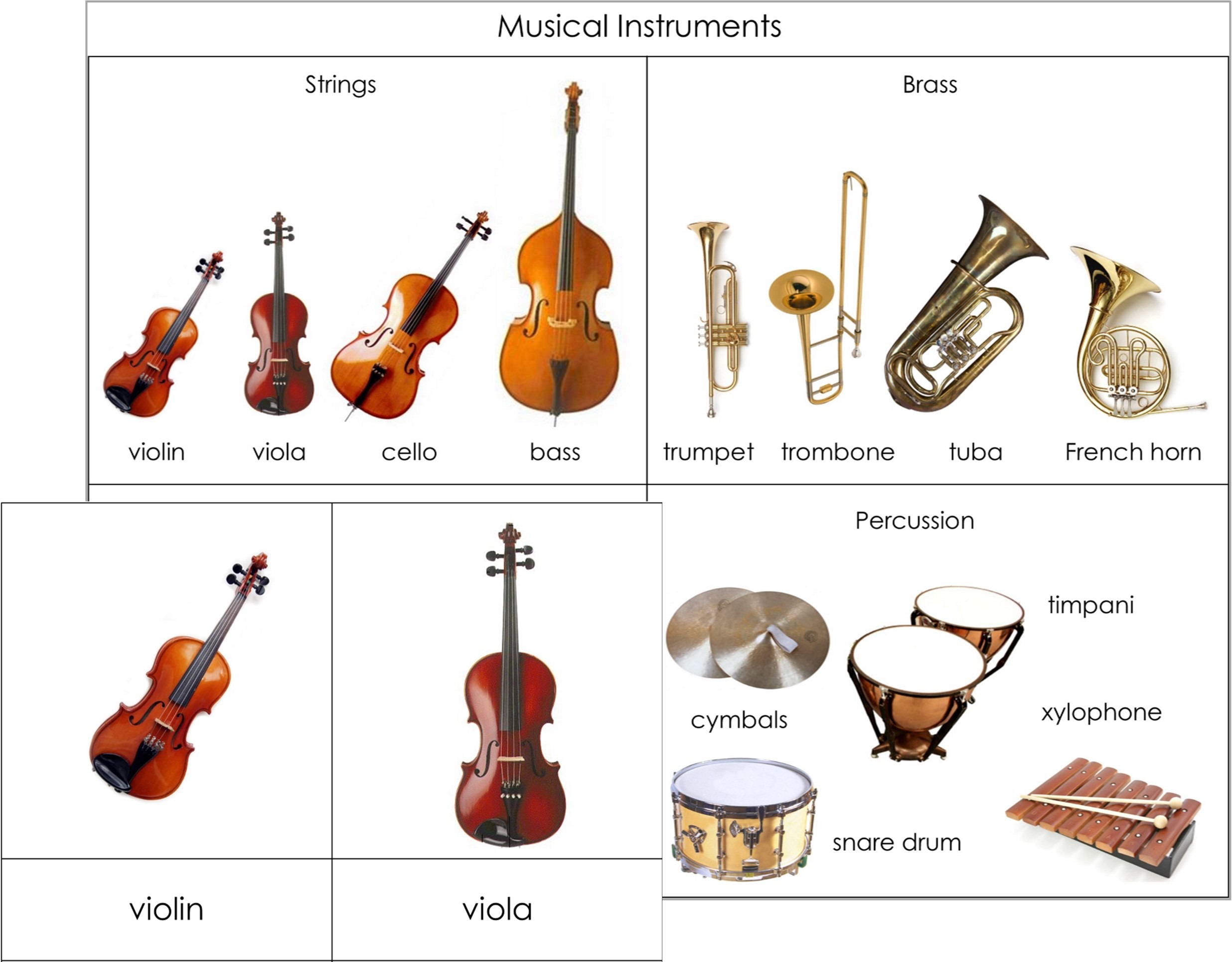 Why musicians are choosing the harp guitar today