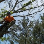 Choose Tree Care Enterprises-Lake Geneva for Professional Tree Care