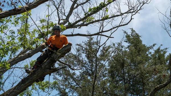 Choose Tree Care Enterprises-Lake Geneva for Professional Tree Care