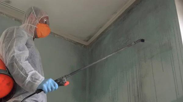 Fast and Reliable Henrico Mold Remediation Service Near You