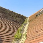 Roofing Services for Strong, Beautiful Roofs