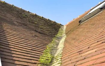 Roofing Services for Strong, Beautiful Roofs