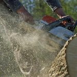 Quality Tree Removal Service Mobile with Skilled Arborists