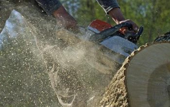 Quality Tree Removal Service Mobile with Skilled Arborists