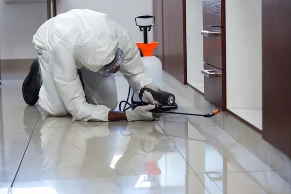Local Pest Control Near Me for Effective Pest Removal